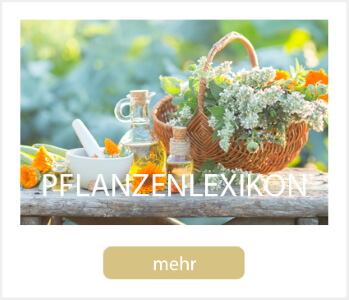 NUAD Pflanzenlexikon