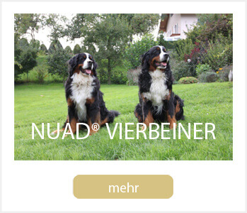 NUAD Vierbeiner